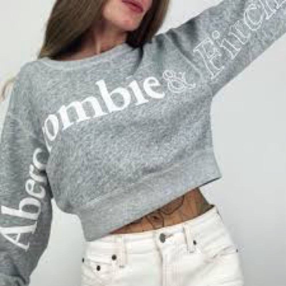 Abercrombie & Fitch Heather Gray Logo Sweatshirt
